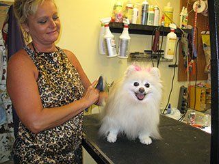 Pet Grooming Milton, FL
