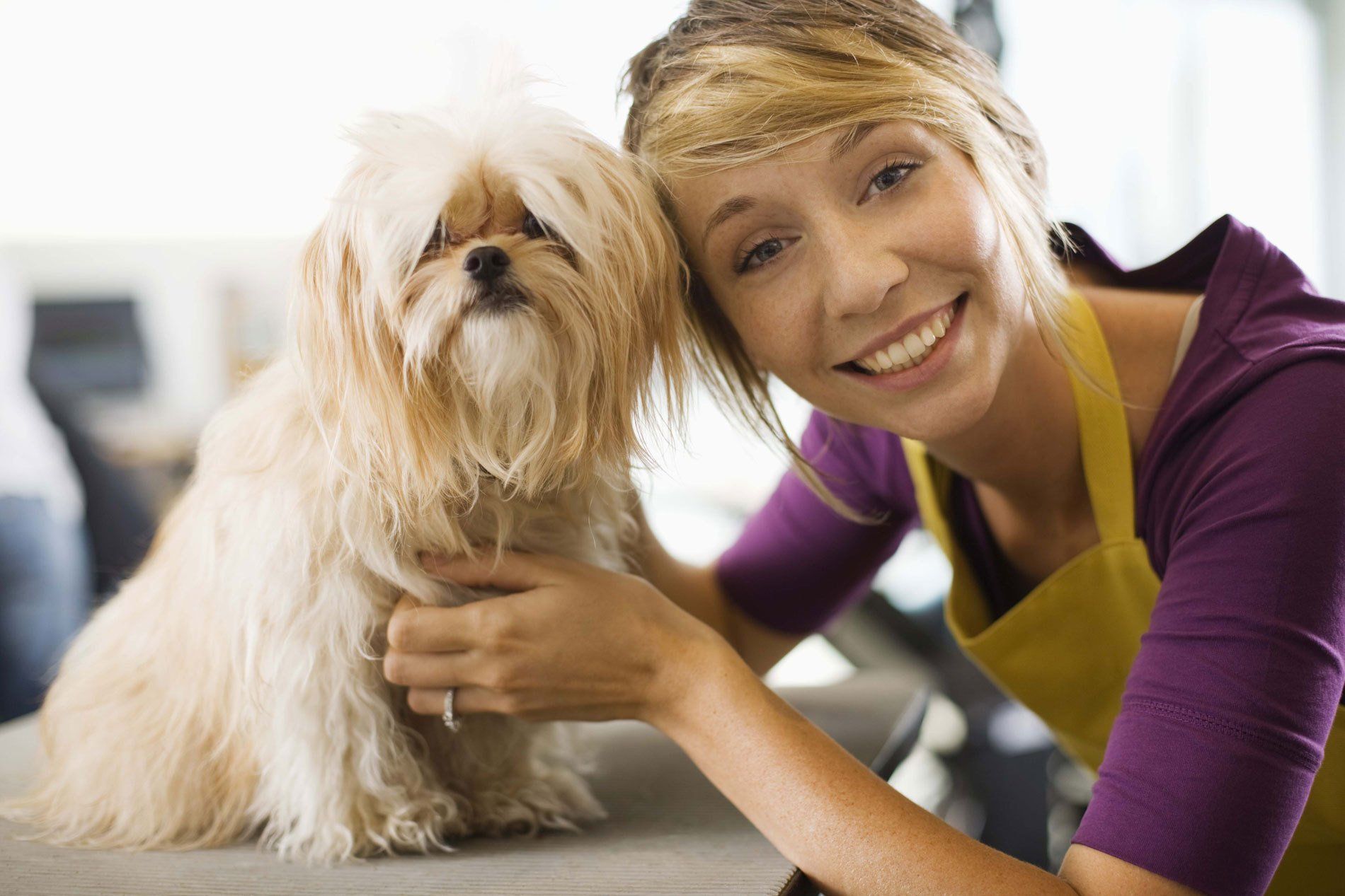 Dog Grooming Milton, FL