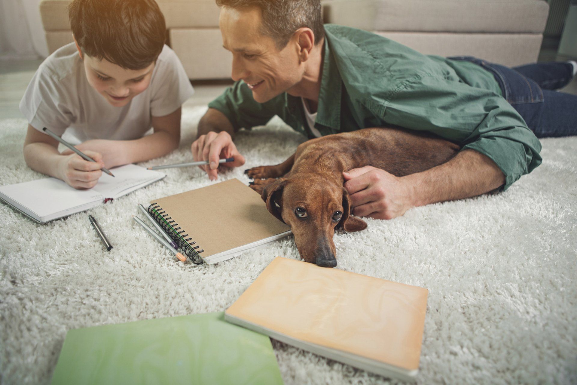 Carpet Repair — Woman with Cat in Clean Carpet in Gainesville, FL Carpet Repair — Woman with Cat in Clean Carpet in Gainesville, FL