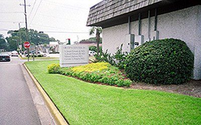 Landscaping Maintenance — Landscape With Trees and a Road in Savannah, GA Landscaping Maintenance — Landscape With Trees and a Road in Savannah, GA