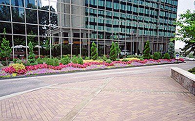 Commercial Lawn Services — Building with Green landscape Trees in Savannah, GA Commercial Lawn Services — Building with Green landscape Trees in Savannah, GA