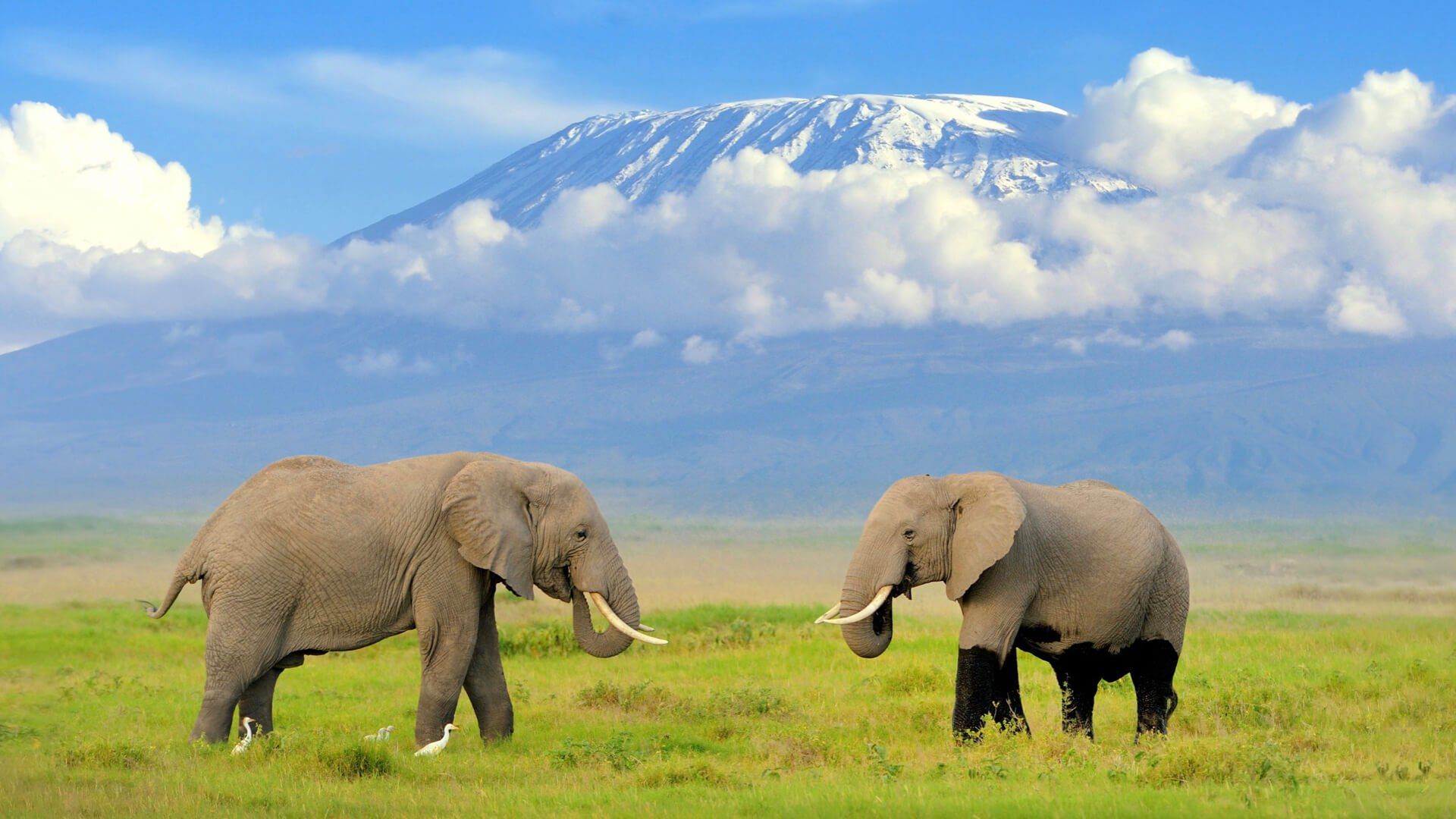 Sarova Lion Hill Lodge - Accommodation Kenya Deluxe Safari by Predators Safari Club
