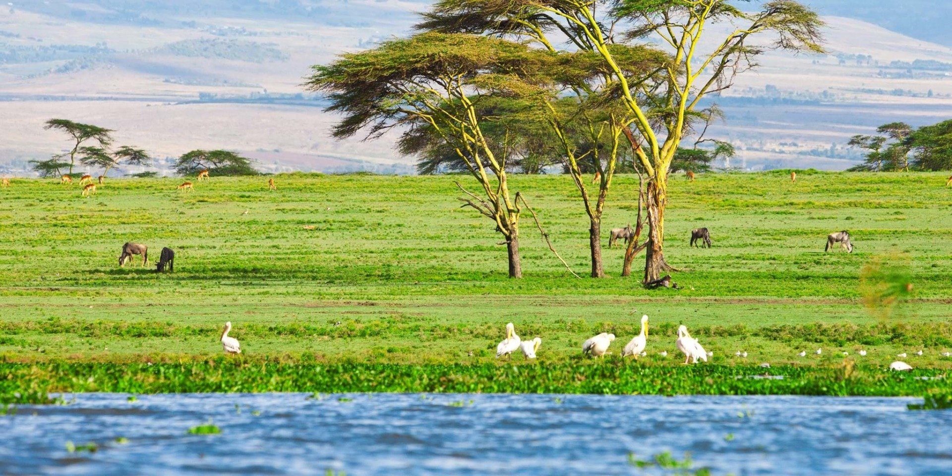 Lake Naivasha Day Tour Itinerary - Predators Safari Club