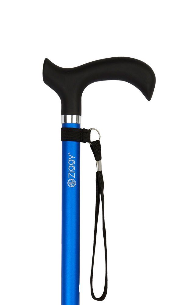 Charles Buyer walking stick1