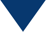 Blue downward-pointing triangle on a white background