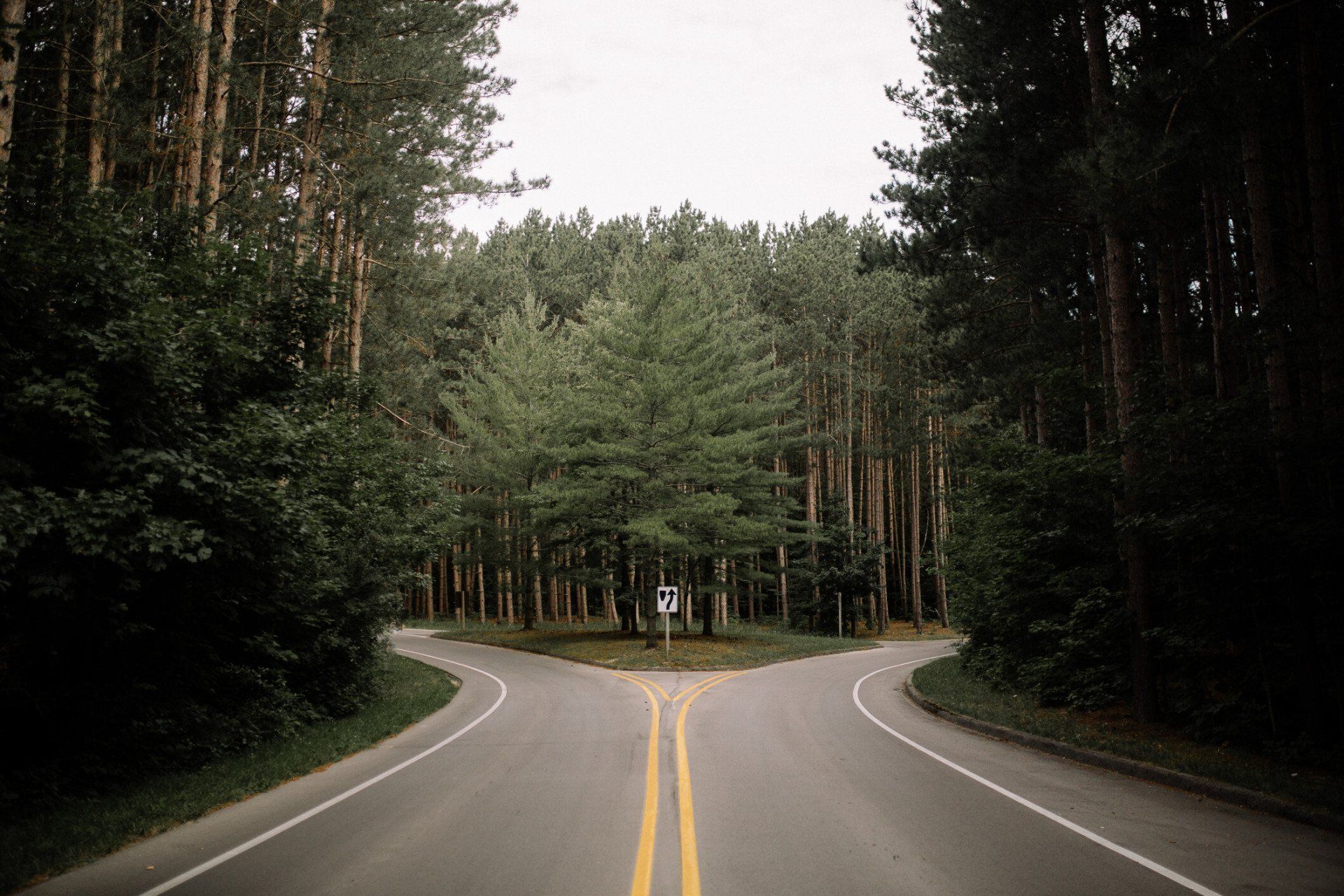 A roadmap for uncertain times | Financial Planning | NZFP