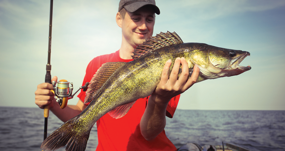 huge fish