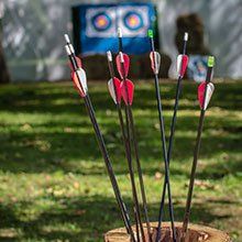 arrows in stump