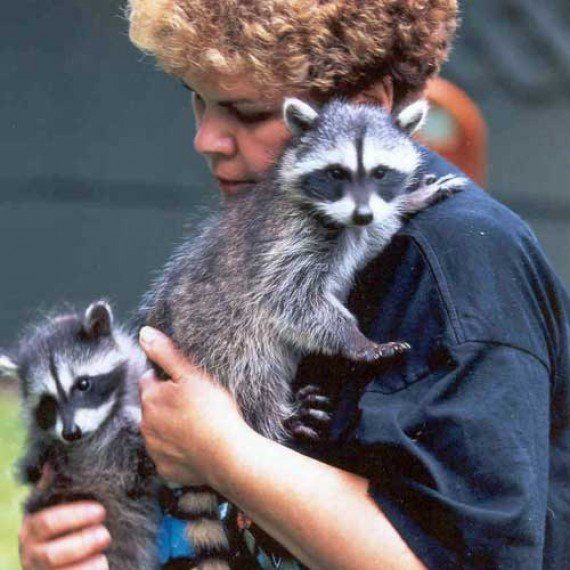Gail Martin Critter Care