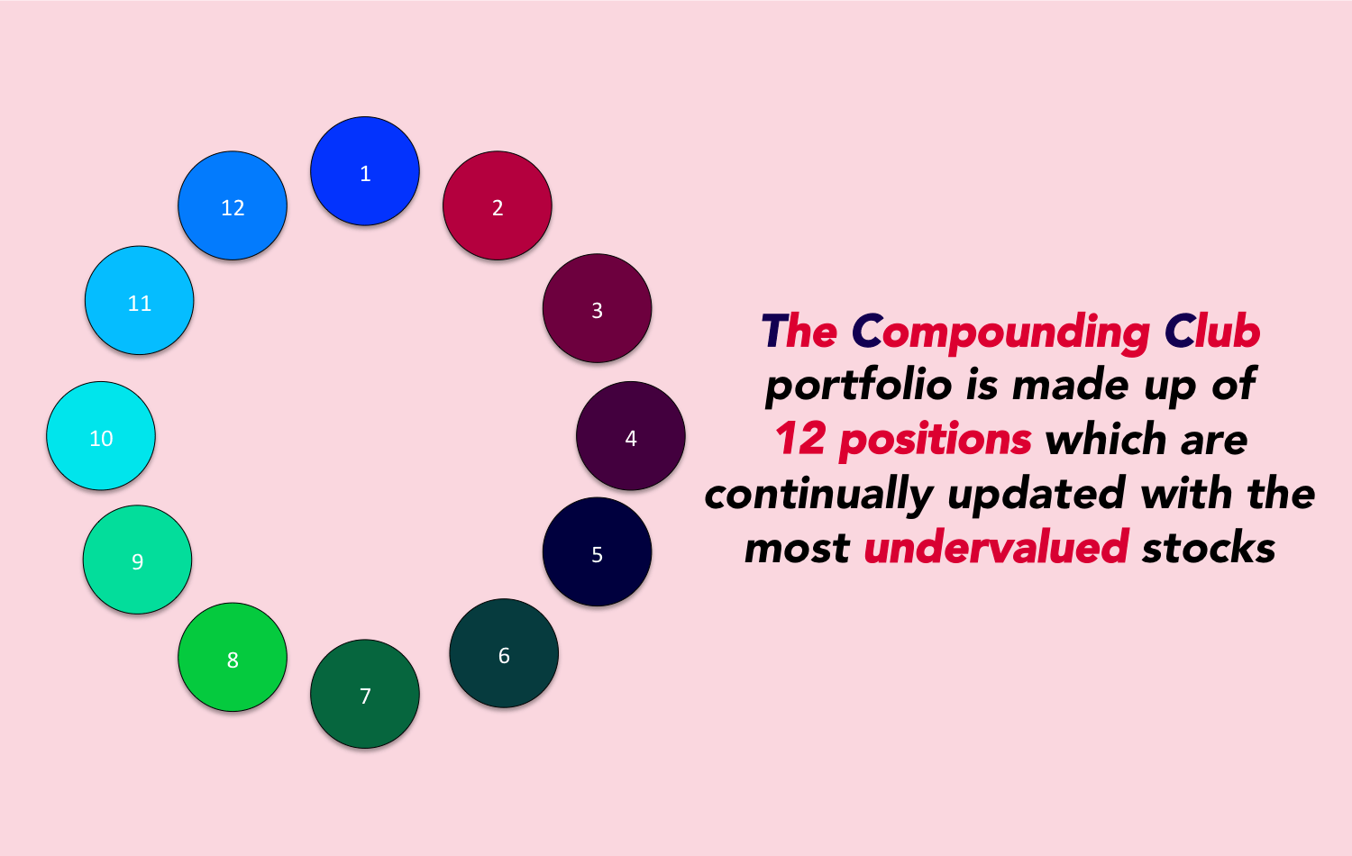 The Compounding Club
portfolio is made up of 12 positions 
