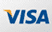 VISA Logo