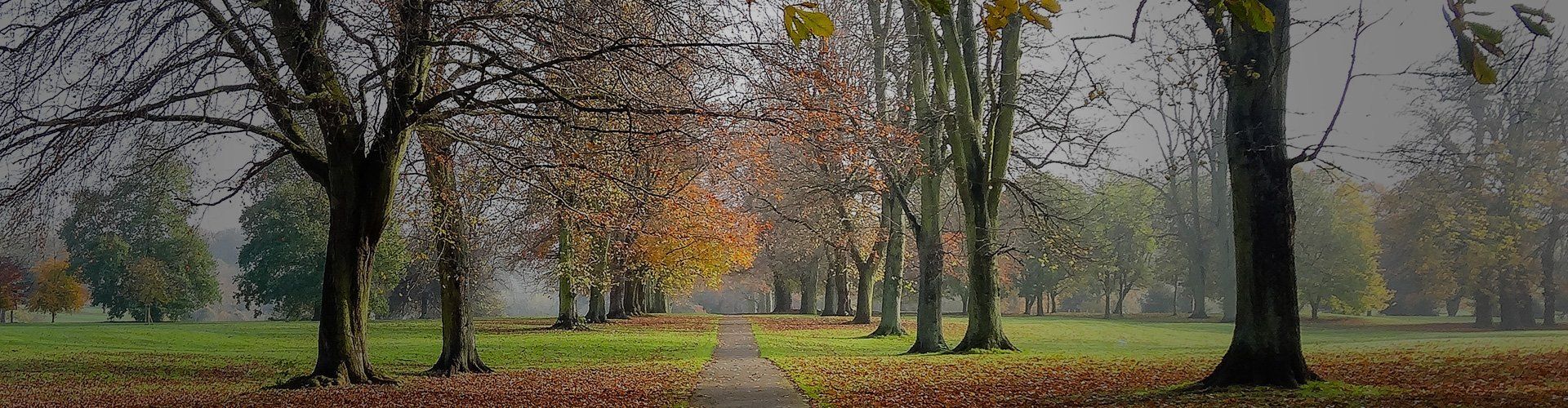 trees