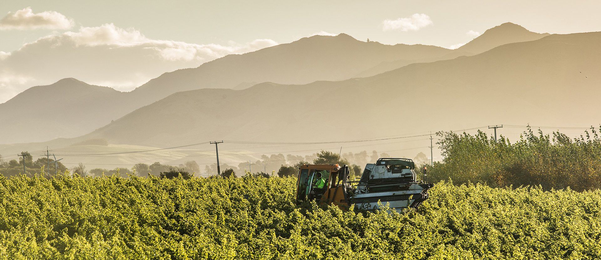 Commercial photography by Lisa Duncan Photography