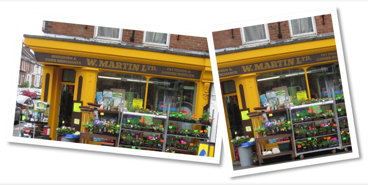 Plants in metallic pots