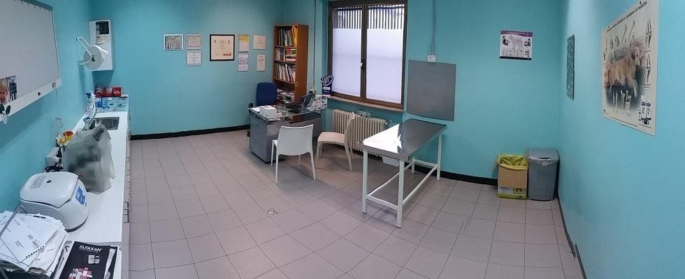 Studio veterinario