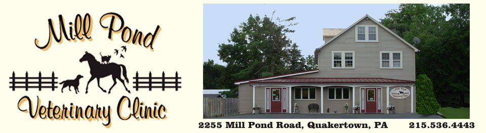 Mill Pond Veterinary Clinic