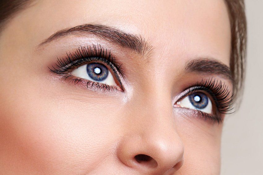 Lashes & Brows
