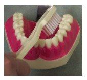 brushing step three toothbrush3