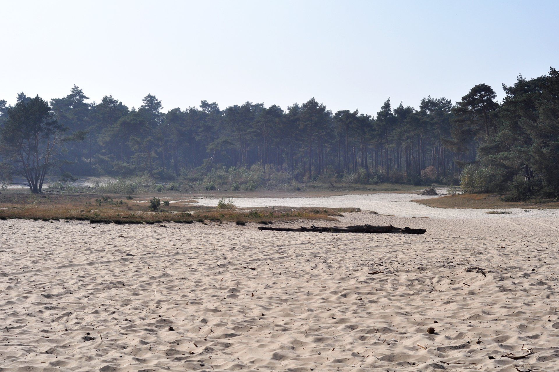 Zandverstuivingen in Ommen