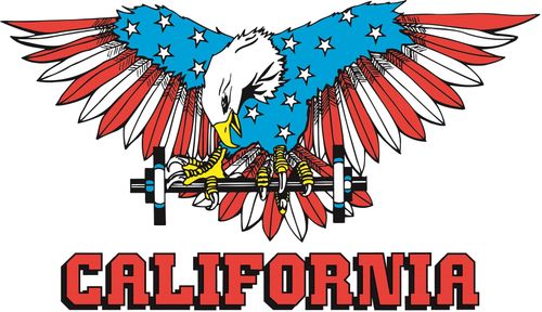 CALIFORNIA GYM PALESTRE - LOGO