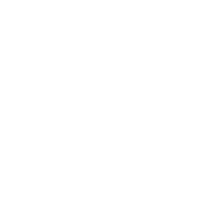 A white background with a few lines on it