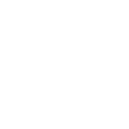 A white background with a few lines on it