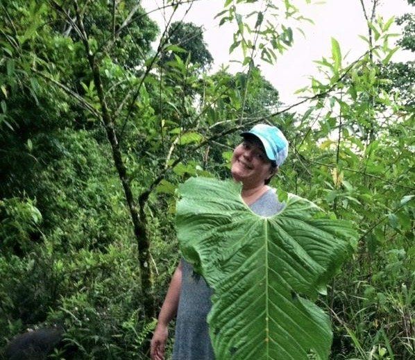 A man in a blue hat is holding a large green leaf
