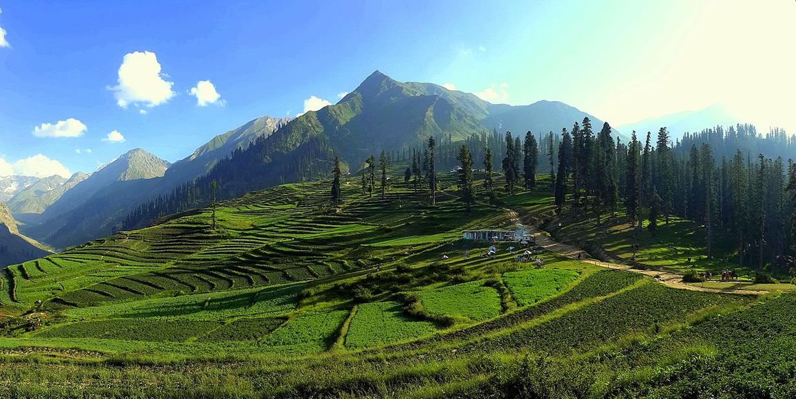 A panoramic view of a lush green field with mountains in the background.