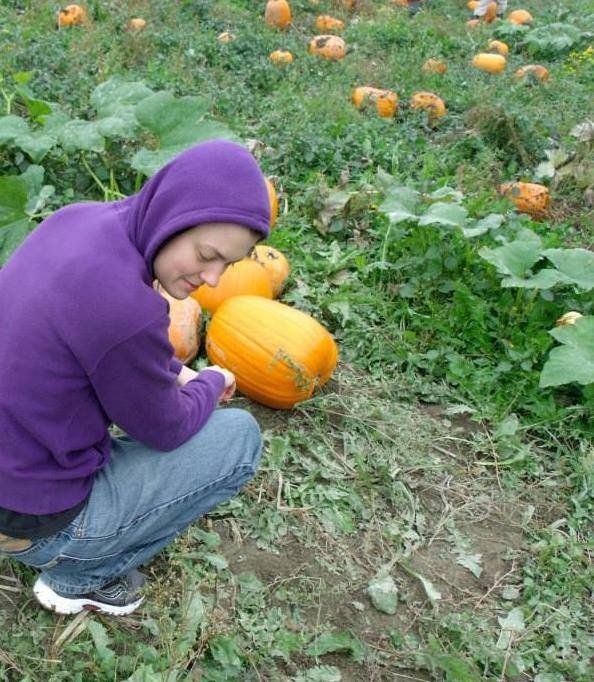 A woman in a purple hoodie is picking pumpkins in a field