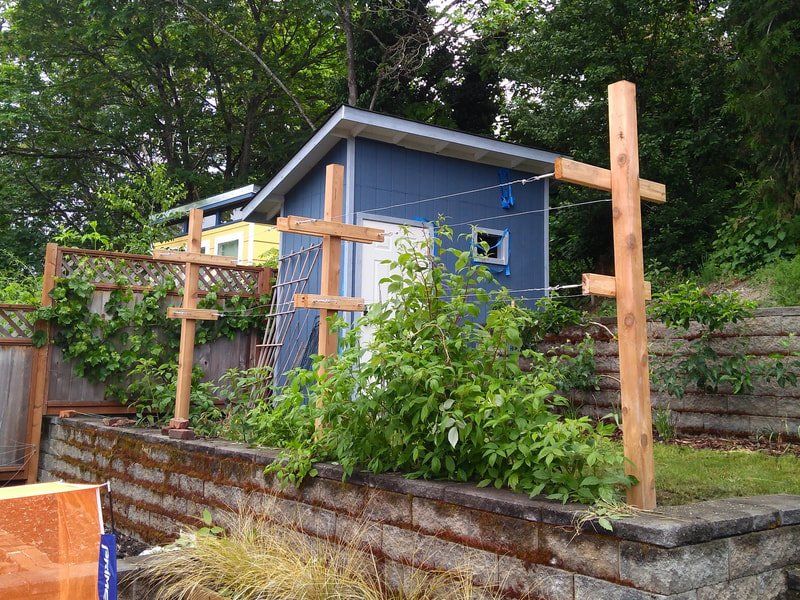 A blue shed with a wooden fence in front of it