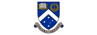 ncd risk management consultancy ancora imparo ncd risk management consultancy ancora imparo