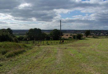 Rolling countryside around our cattery