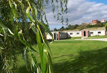 External view of our cattery