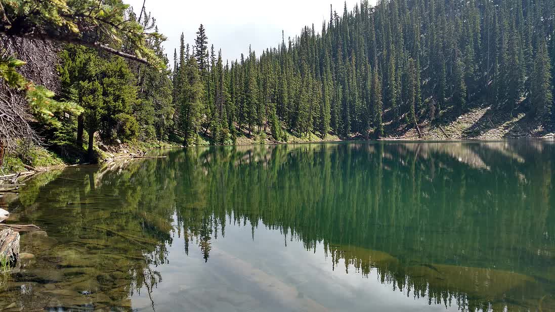 A lake in the middle of a forest with trees reflected in the water.
