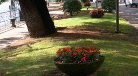 pulizia uffici, pulizia vetrate, lavori di giardinaggio pulizia uffici, pulizia vetrate, lavori di giardinaggio