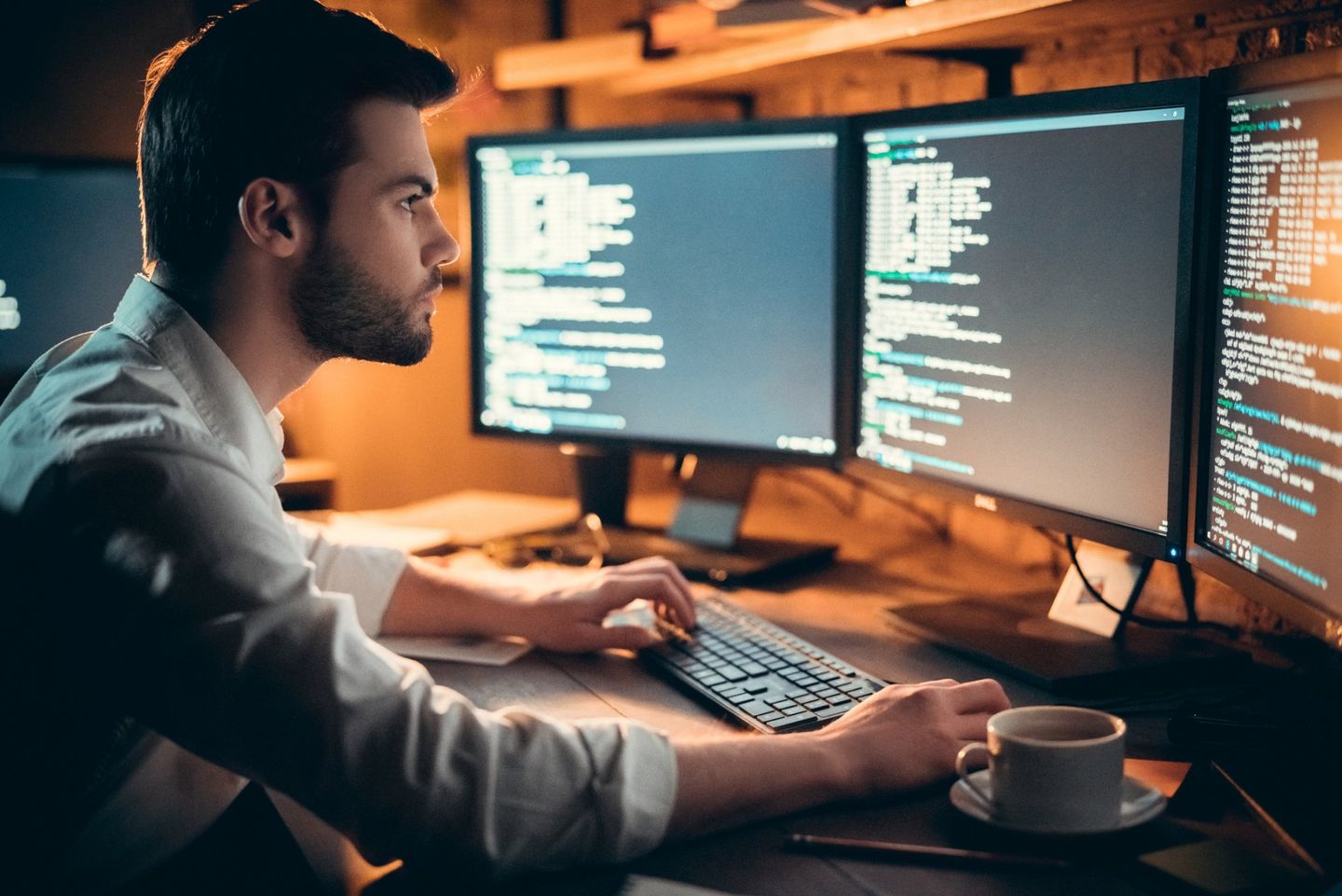 Man Using Three Monitors — Wesley Chapel, Fl — DigitalBrainz
