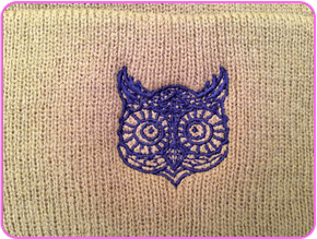 close up owl