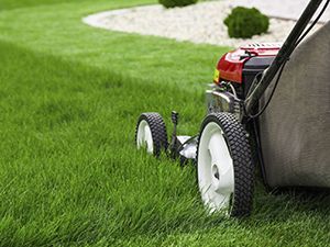 commercial property maintenance Williamsville, NY