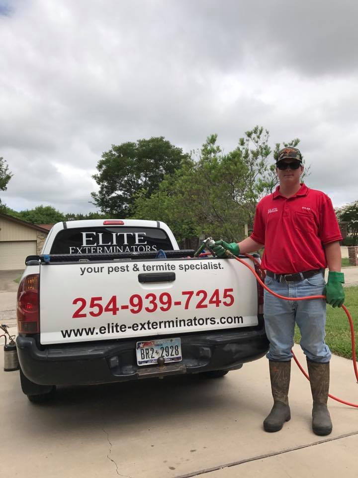 Elite Staff Working Pest Control — Belton, TX — Elite Exterminators