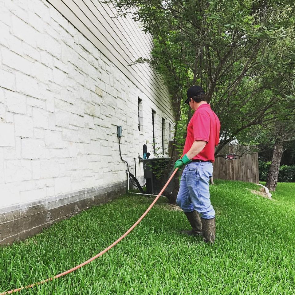 Man Remove Unwanted Pests at The Backyard — Belton, TX — Elite Exterminators
