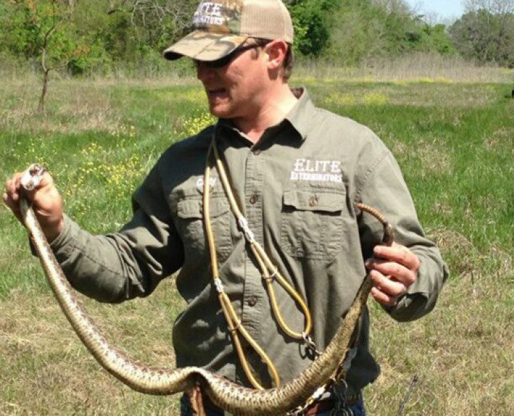 Rodent Caught by Elite Staff — Belton, TX — Elite Exterminators