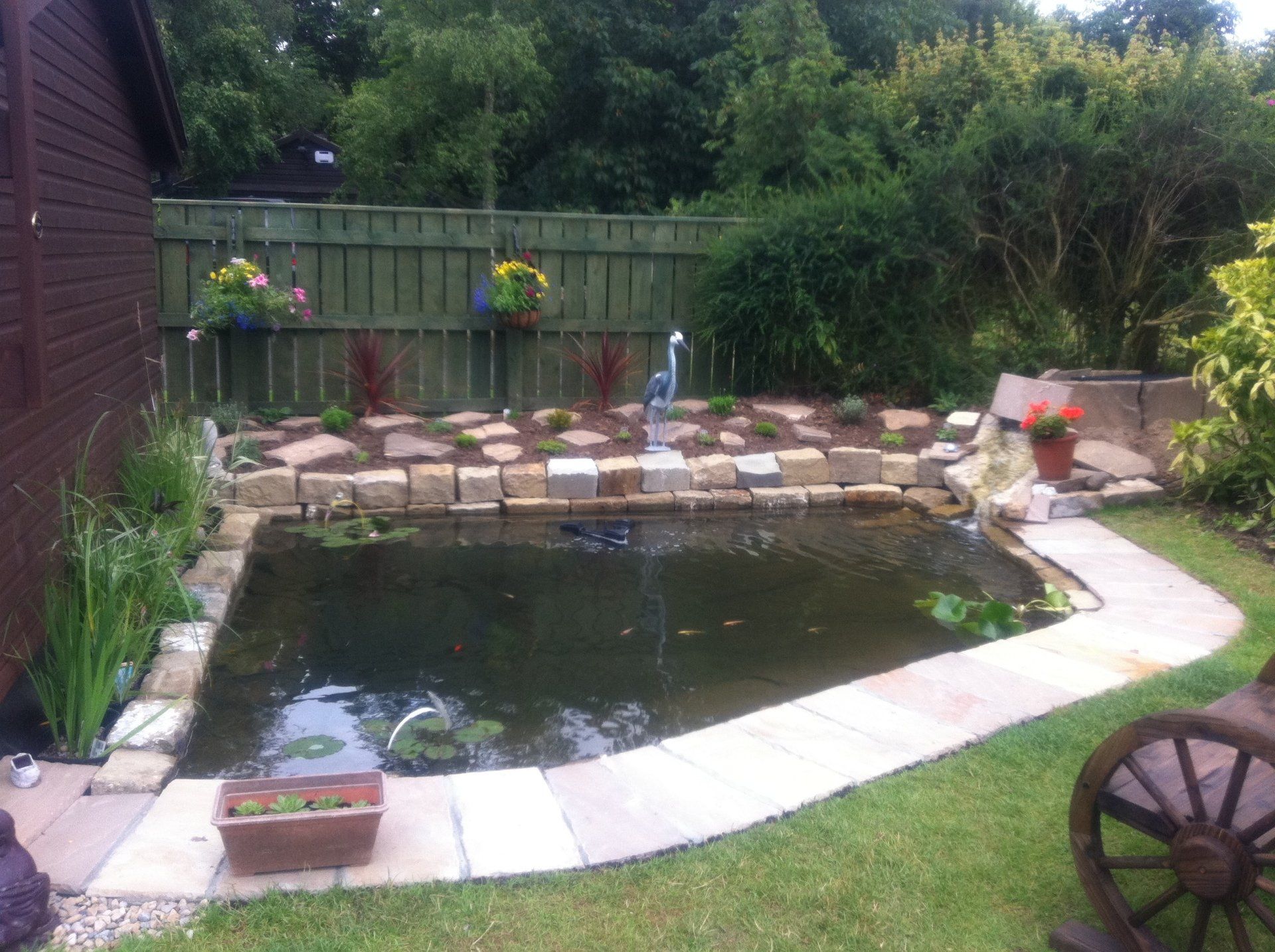 Garden pond