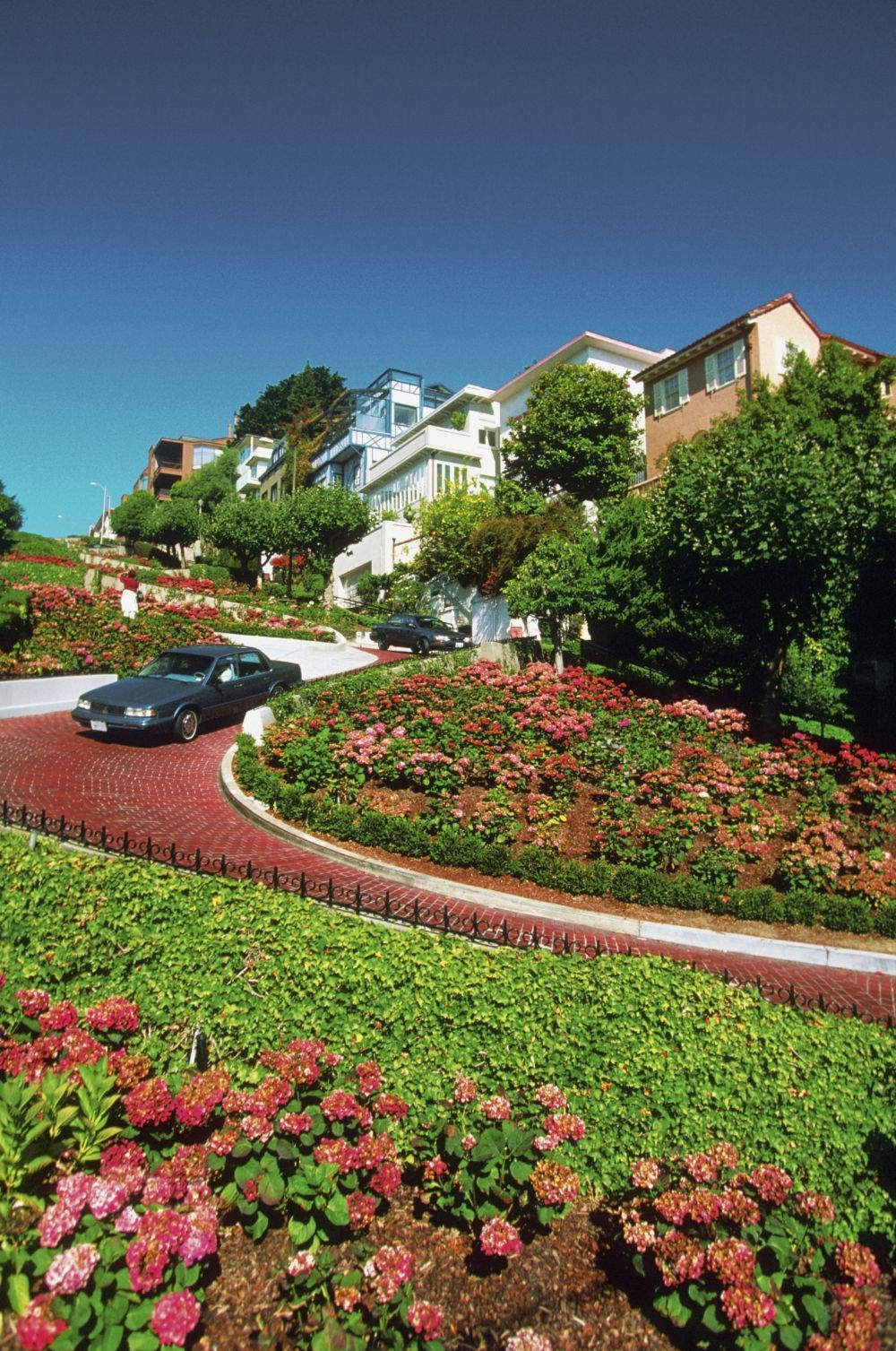 driveway with a lot of green