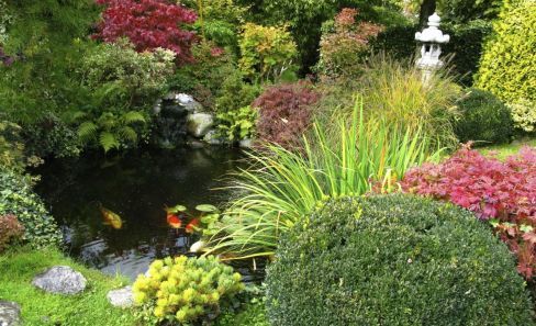 Beautiful garden made with garden equipment in The Hunter Valley & Newcastle