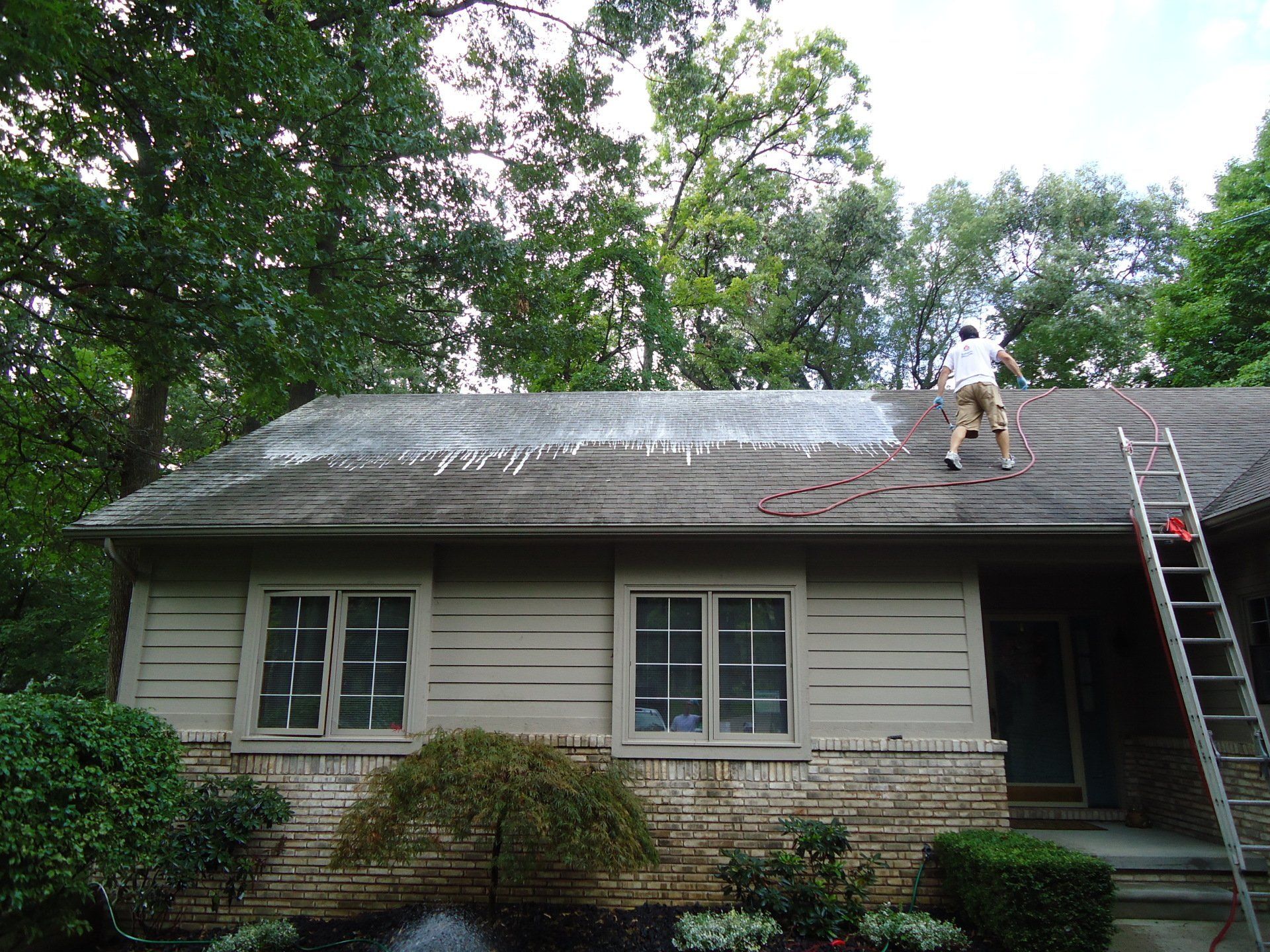 roof cleaning service in williamsburg va