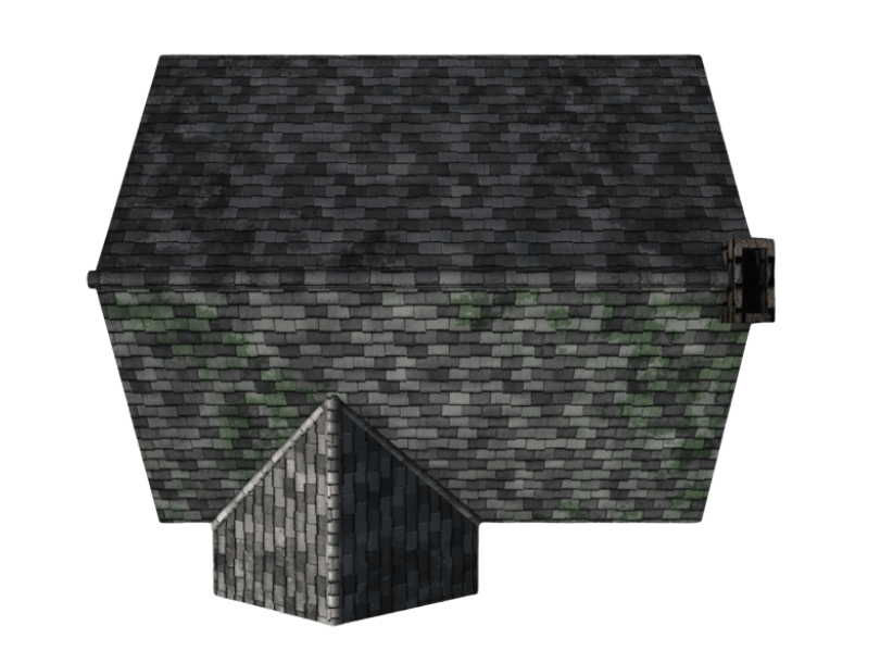 Roof Cleaning service