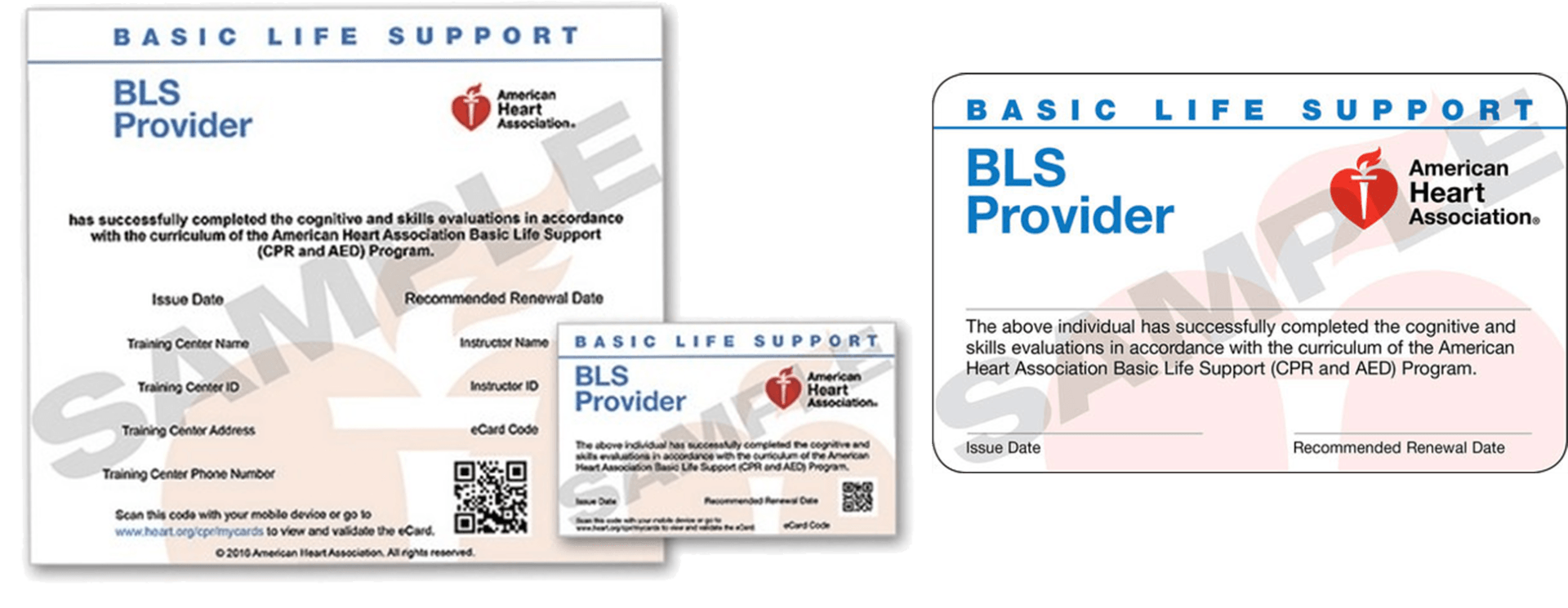 Rapid CPR Union NJ