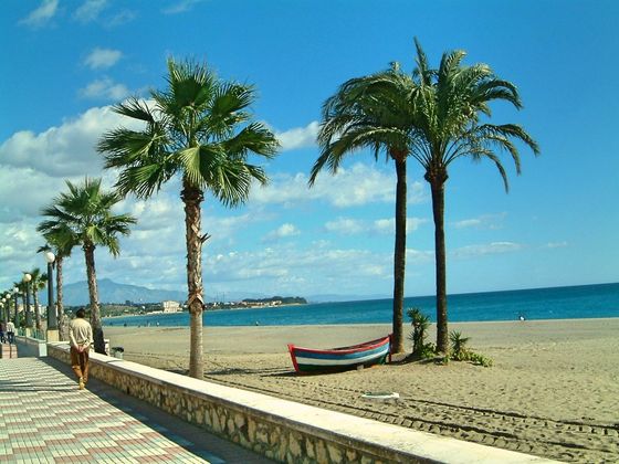 Estepona