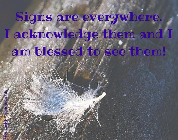 feather on a tree to follow signs and intuition
