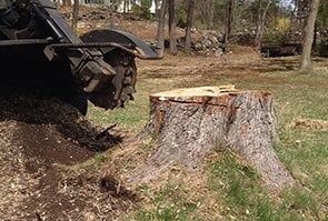 Stump Grinder — Tree Stump Grinding in Lunenburg, MA Stump Grinder — Tree Stump Grinding in Lunenburg, MA
